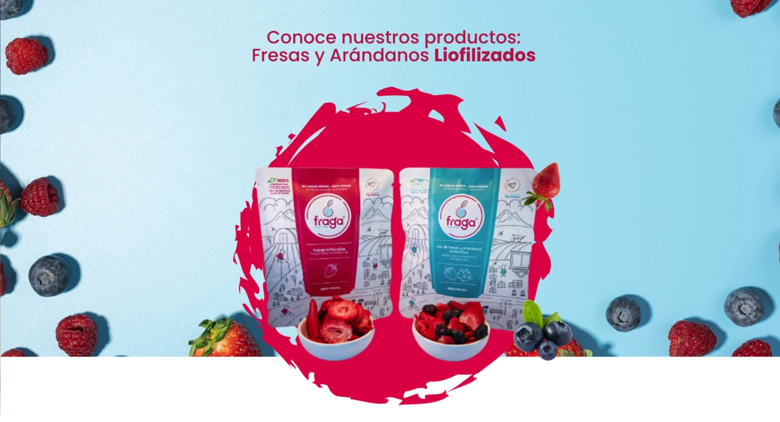 cla-pagina-web-infinito-agencia-2