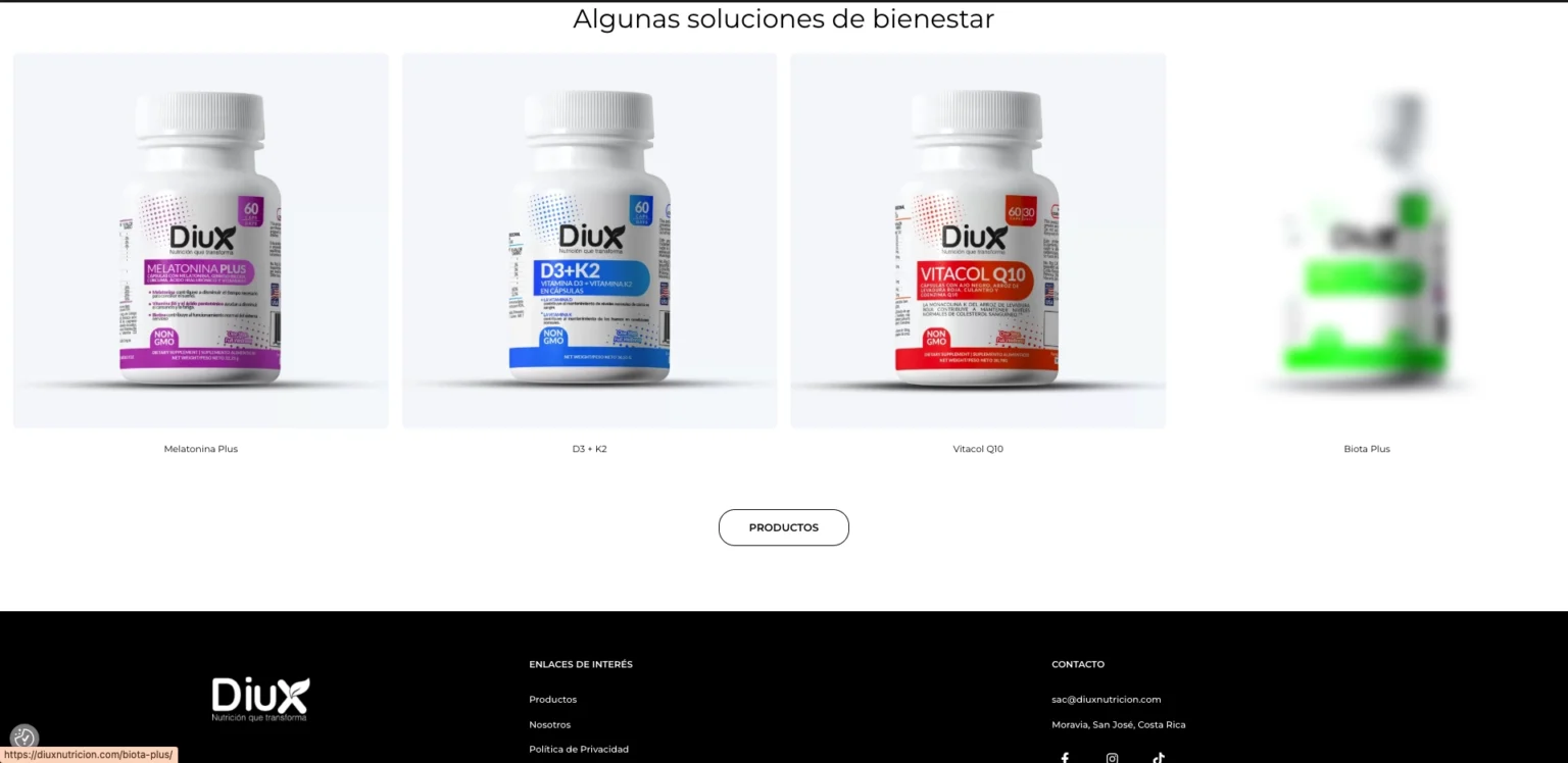 diux-pagina-web-11