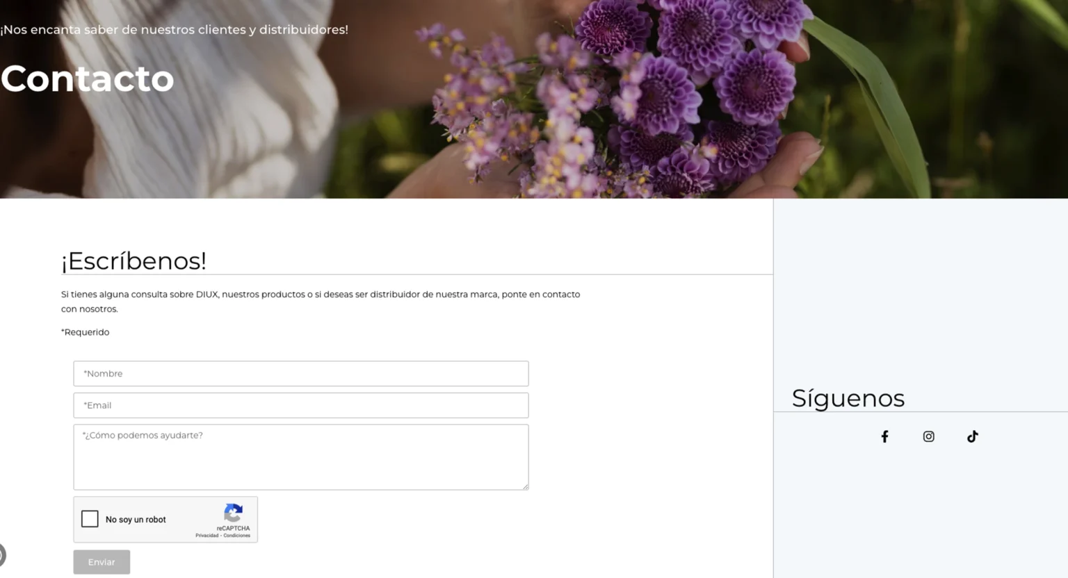 diux-pagina-web-infinito-agencia-9